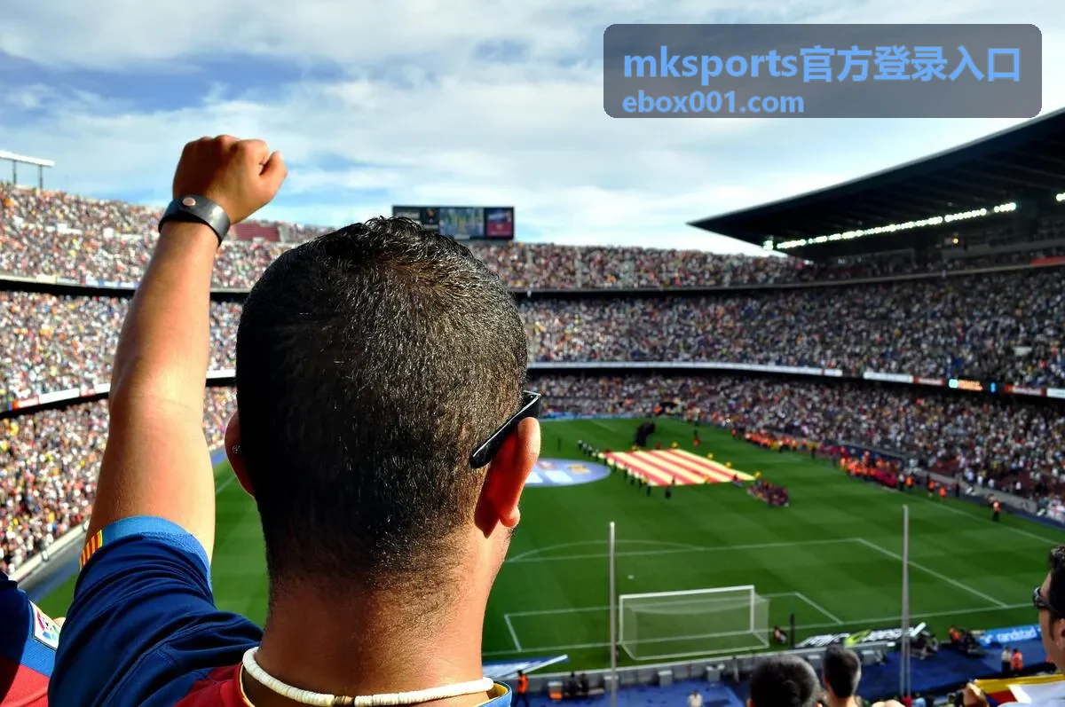 mksports官方登录入口的页面来源辨别示意