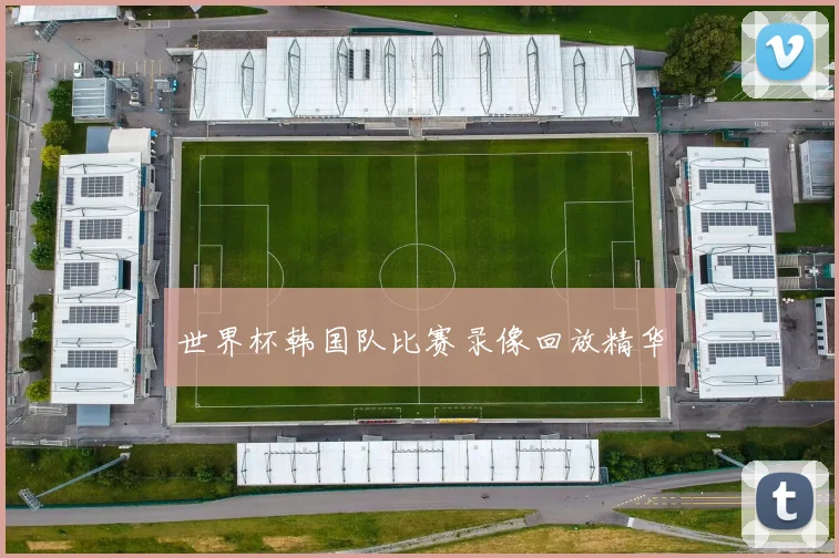 世界杯韩国队比赛录像回放精华