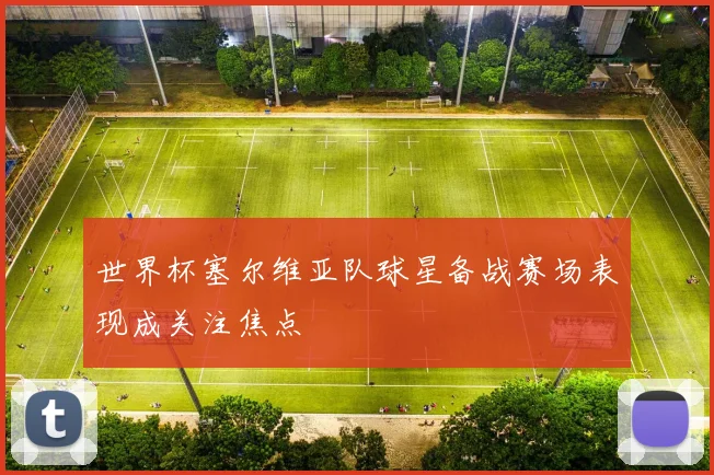 世界杯塞尔维亚队球星备战赛场表现成关注焦点