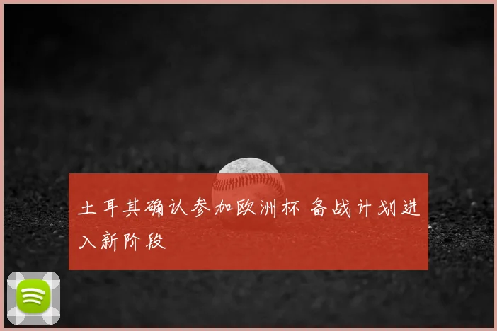 土耳其确认参加欧洲杯 备战计划进入新阶段