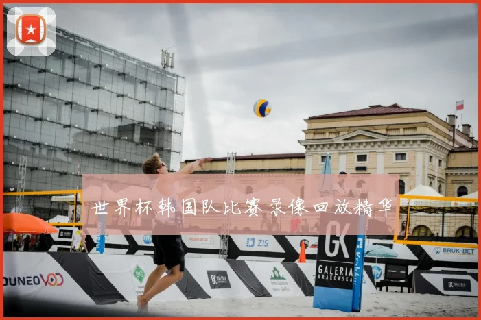 世界杯韩国队比赛录像回放精华