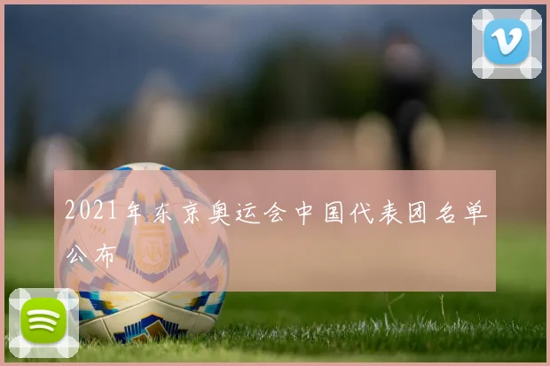 2021年东京奥运会中国代表团名单公布