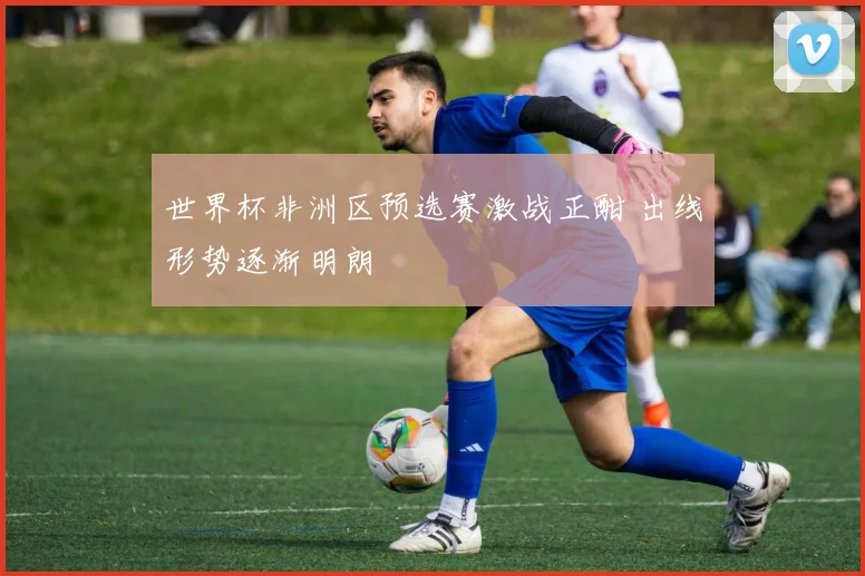 世界杯非洲区预选赛激战正酣 出线形势逐渐明朗