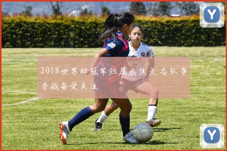 2018世界杯冠军归属成焦点 各队争夺战备受关注