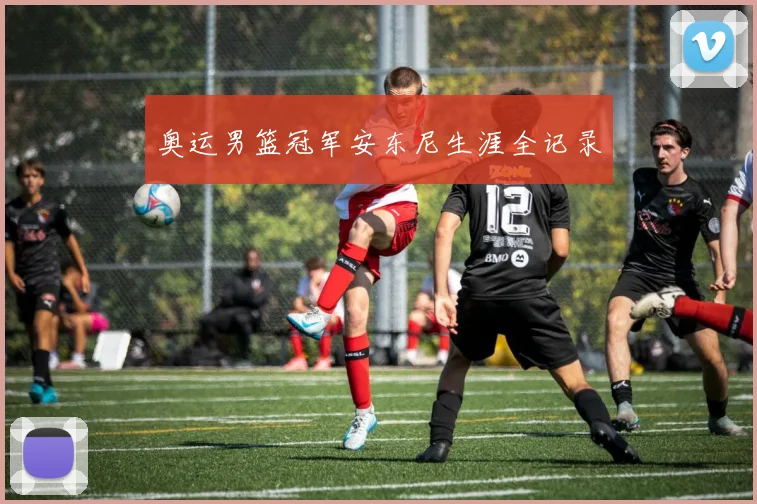 奥运男篮冠军安东尼生涯全记录