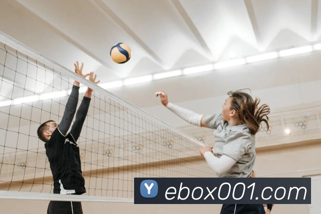 App Interface Preview