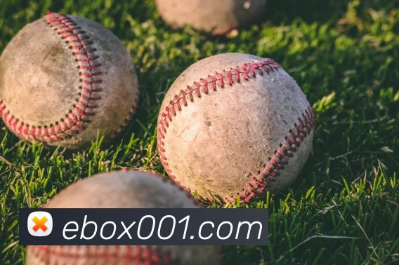 世界杯官方网络平台APP 封面图